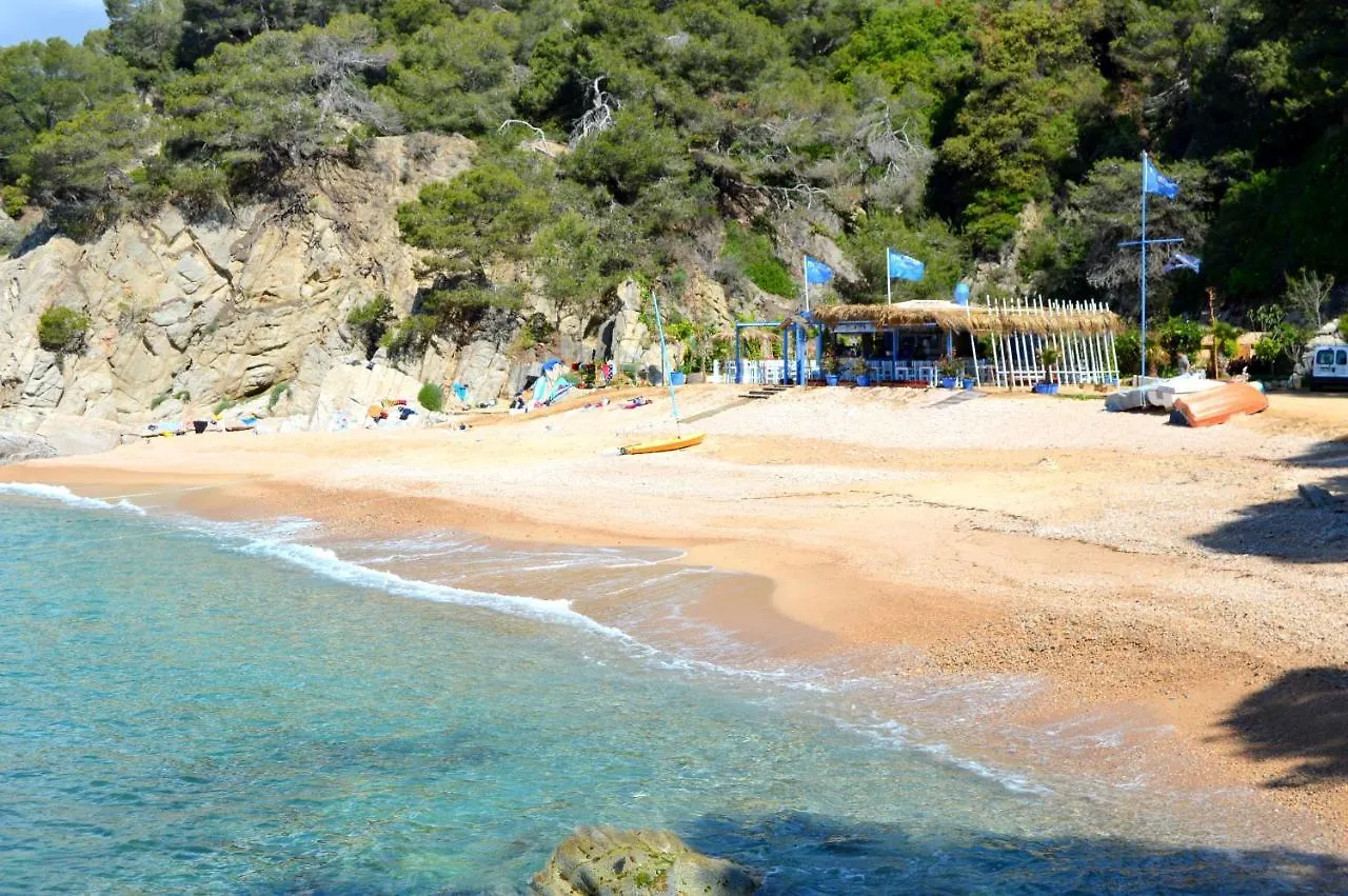 Studios Sol Y Mar Avec Piscine Tossa de Mar